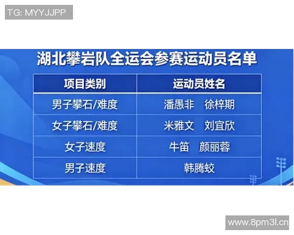 武汉攀岩队引领最新攀岩技术前沿十强榜单解析